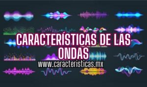 ¿Cuántas Características De Las Ondas Existen Y Cuáles Son? ️